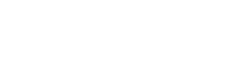 Modern Broom